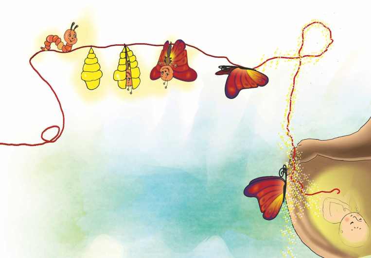 DeQueColorEsMiMariposa_EXP_V3_SinTexto_Página_07